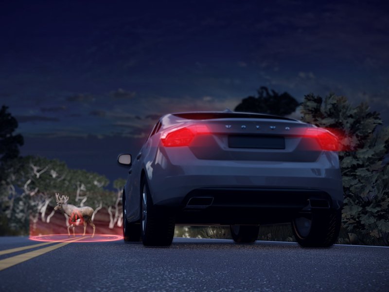Vorsicht_Wildwechsel.jpg Im Herbst wächst das Risiko von Wildunfällen. (Foto: Volvo)